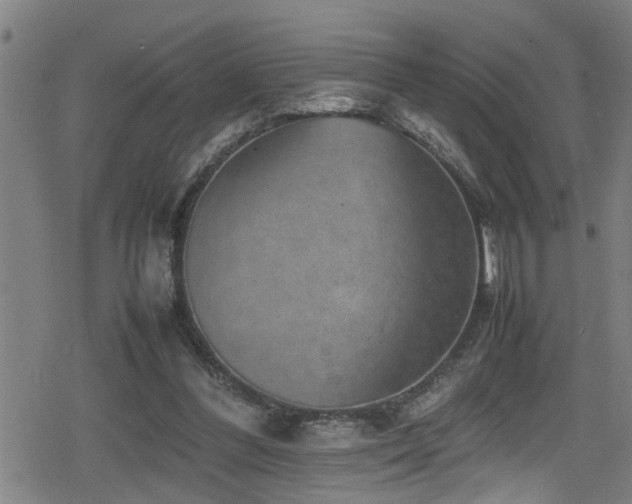 X0000078860300200611131210