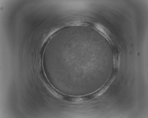 X0000078860301200611131210