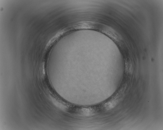 X0000078860302200611131210