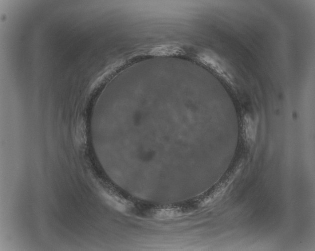 X0000078860303200611131210