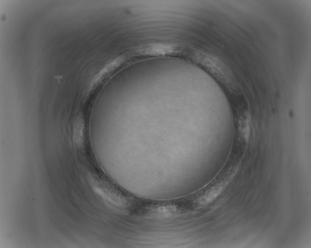 X0000078860304200611131210