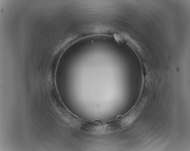 X0000078860306200611131210