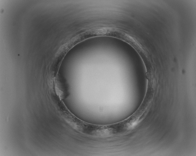 X0000078860307200611131210