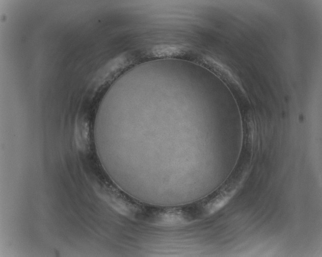 X0000078860308200611131210