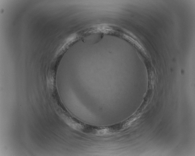 X0000078860309200611131209