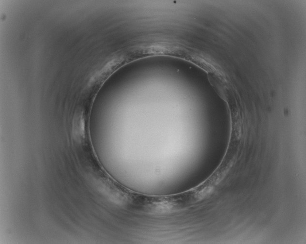 X0000078860310200611131209