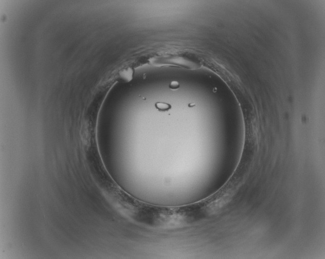 X0000078860311200611131209