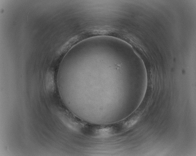 X0000078860312200611131209