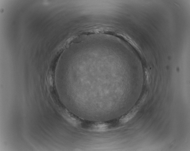 X0000078860313200611131209