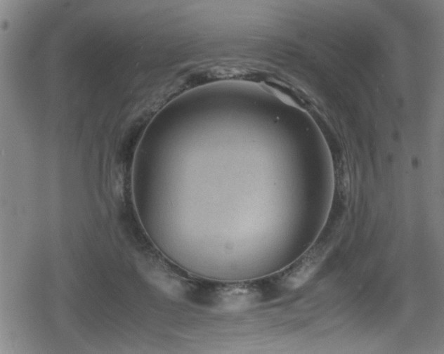 X0000078860315200611131209