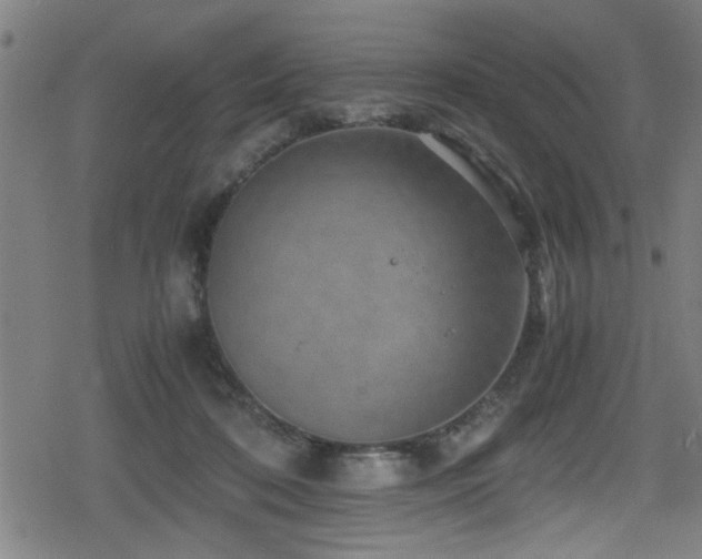 X0000078860316200611131209