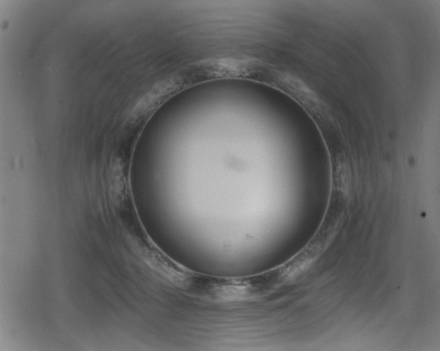 X0000078860318200611131209