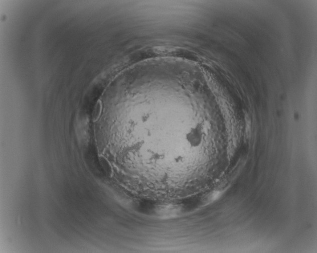 X0000078860319200611131209