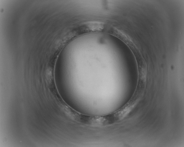 X0000078860321200611131209