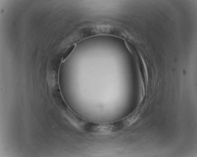 X0000078860323200611131209