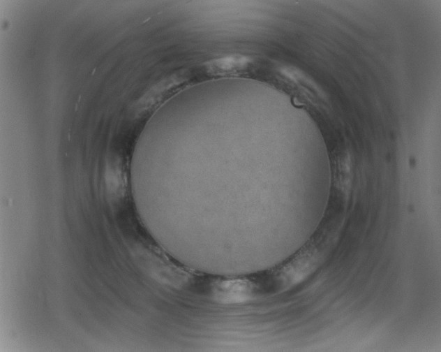 X0000078860324200611131209