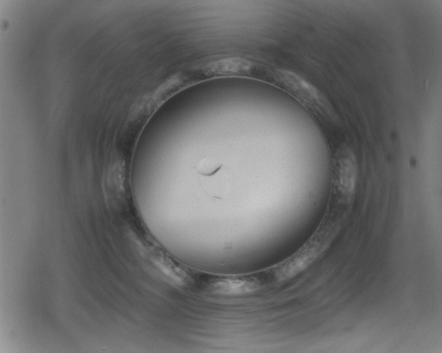 X0000078860326200611131209