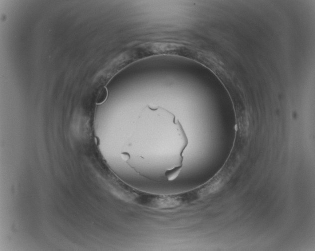 X0000078860327200611131209