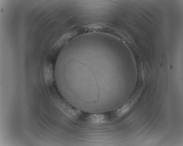 X0000078860328200611131209