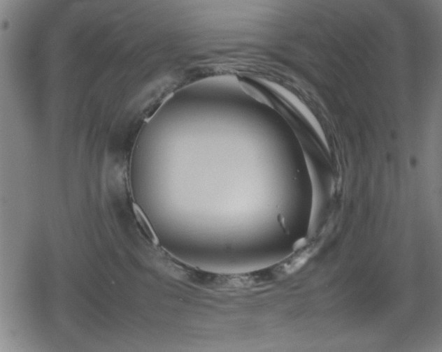 X0000078860329200611131209