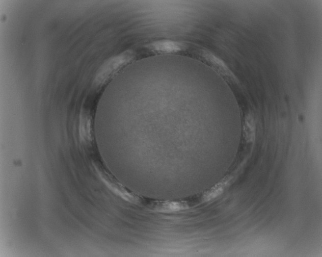 X0000078860330200611131209