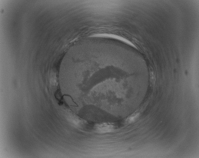 X0000078860331200611131209