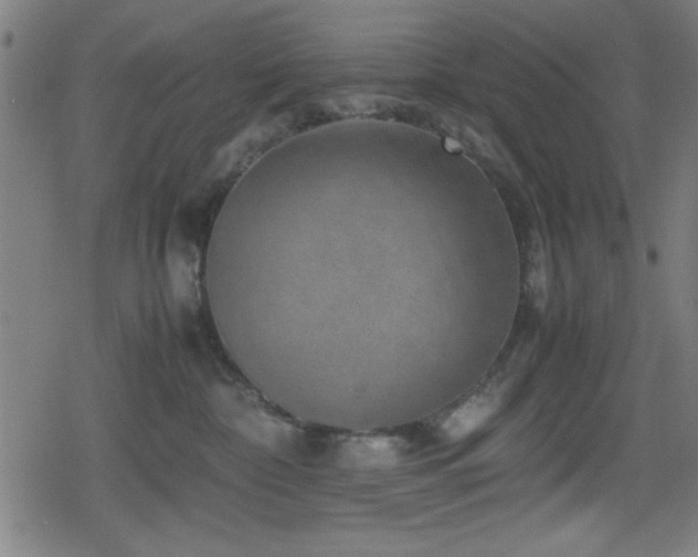 X0000078860332200611131209