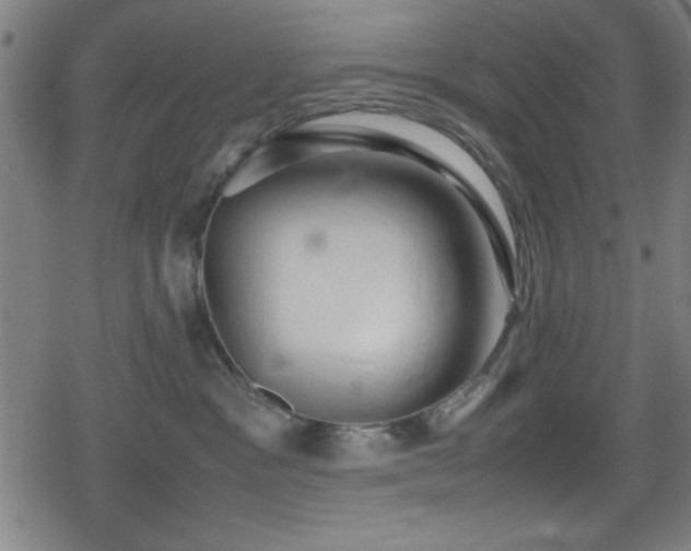 X0000078860333200611131209