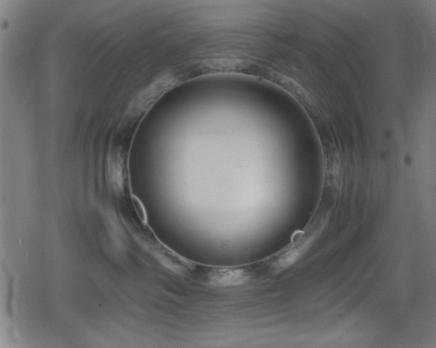 X0000078860334200611131209