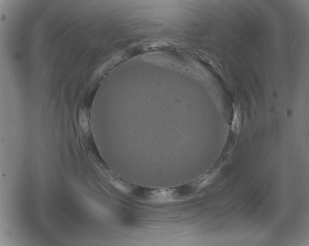 X0000078860335200611131209