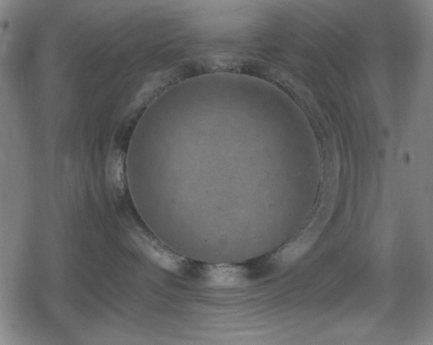 X0000078860336200611131209