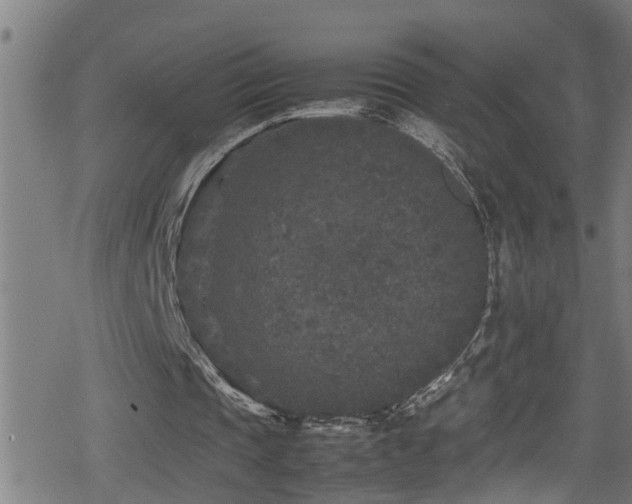 X0000078860337200611131208