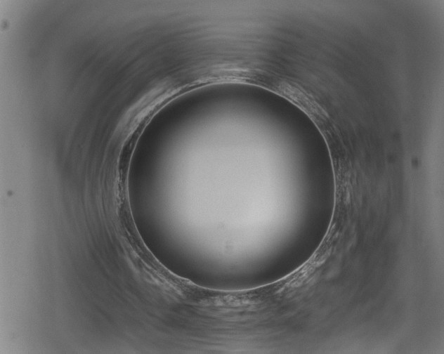 X0000078860338200611131208