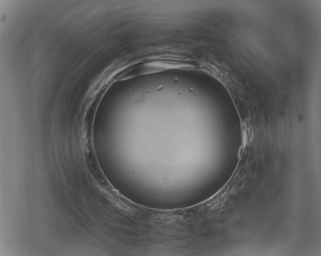 X0000078860339200611131208