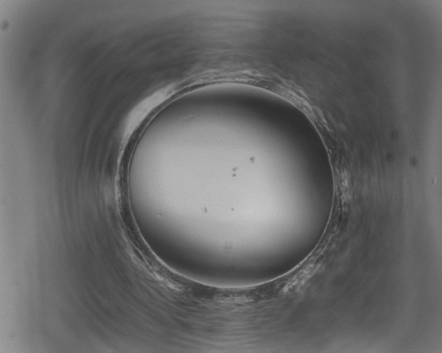 X0000078860340200611131208