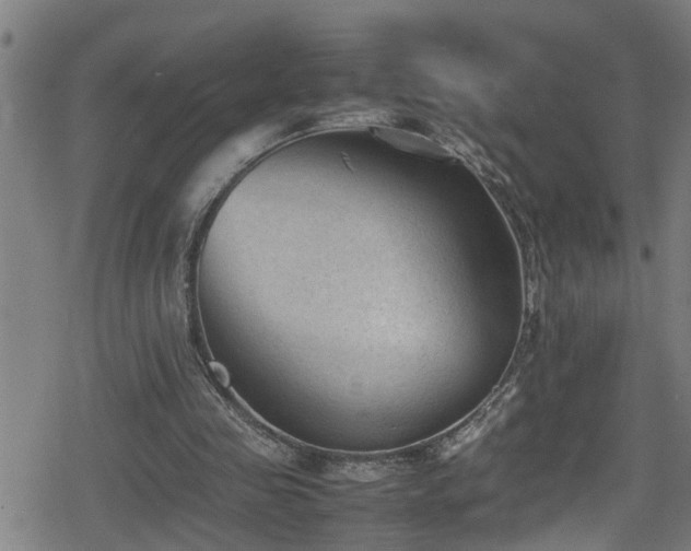 X0000078860341200611131208