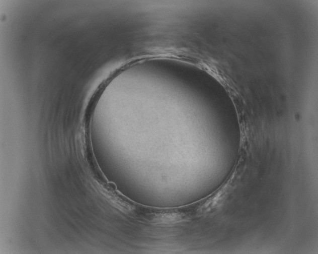 X0000078860342200611131208