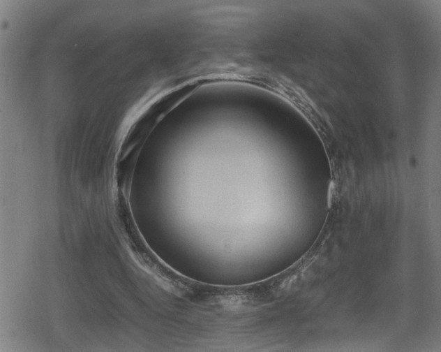 X0000078860344200611131208