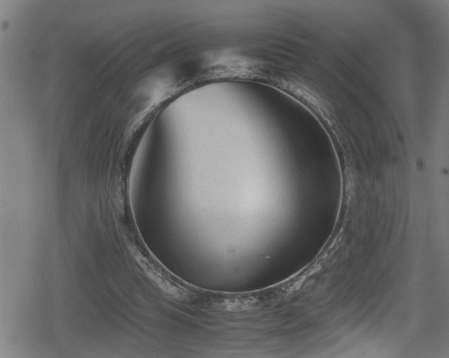 X0000078860345200611131208