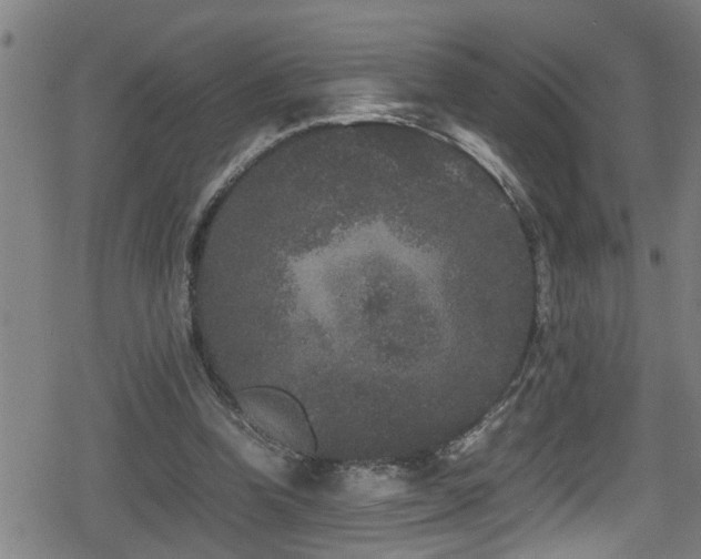 X0000078860346200611131208