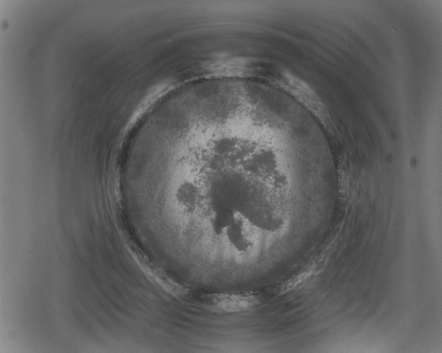 X0000078860347200611131208