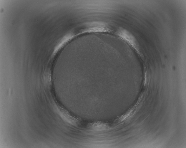 X0000078860348200611131208