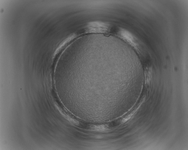 X0000078860349200611131208