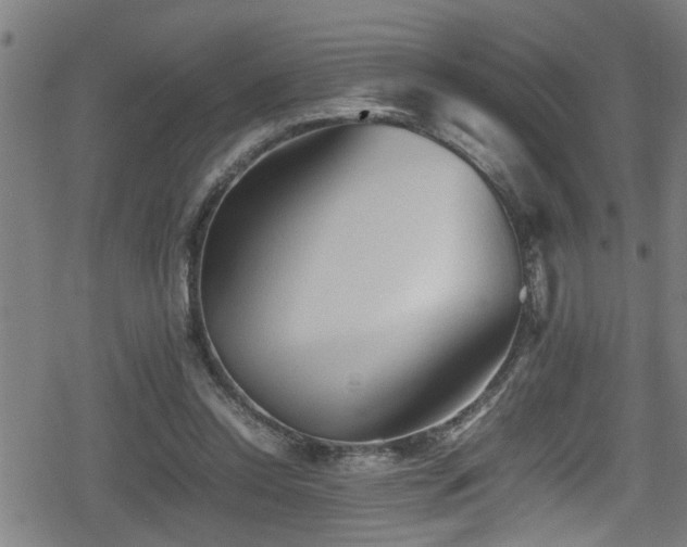 X0000078860350200611131208