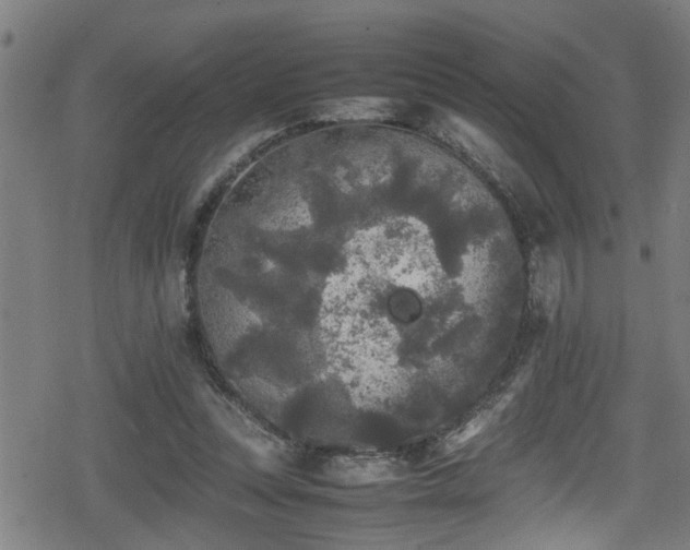 X0000078860351200611131208