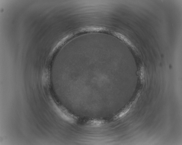 X0000078860352200611131209