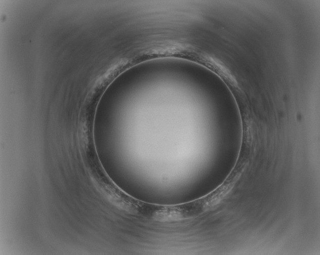 X0000078860354200611131209