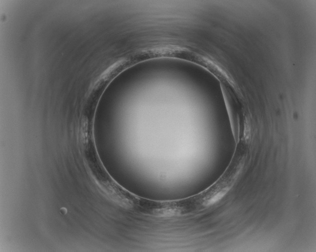 X0000078860356200611131209