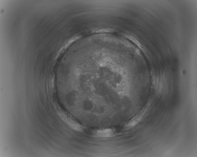 X0000078860357200611131209