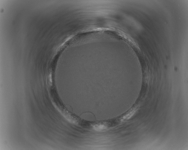 X0000078860358200611131209